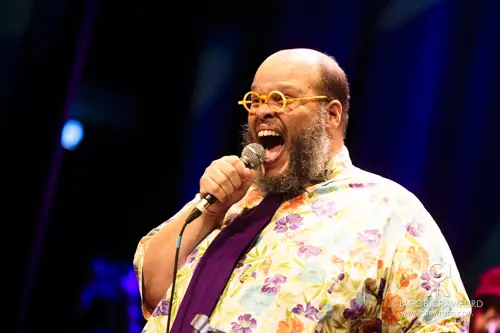 Ed Motta durante apresentação musical em 2014.